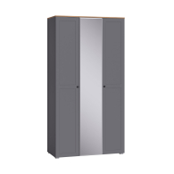 Для одежды, Шкаф для одежды Остин 13.336.03, серый графит, дуб золотой крафт